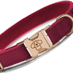 Collar Classic Red - Tymon suricate brand