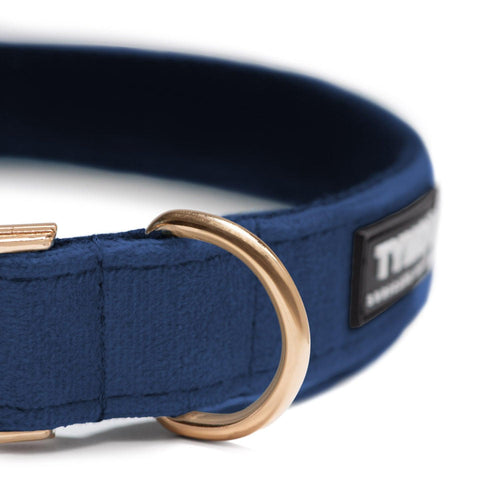 Collar Classic Blue - Tymon suricate brand