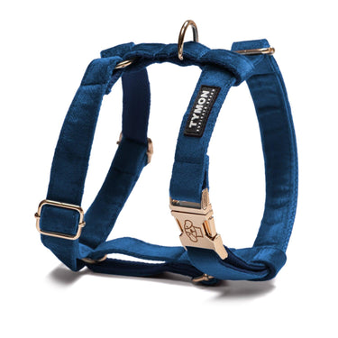 Arnés Classic Blue - Tymon suricate brand