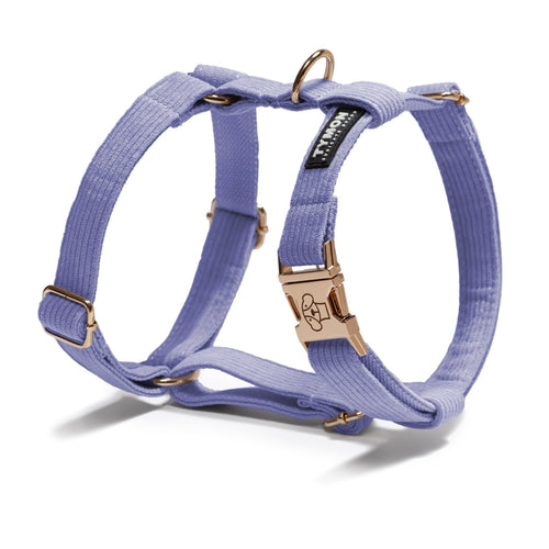 Arnés para perros en color morado con diseño ajustable y acabados metálicos elegantes para mayor