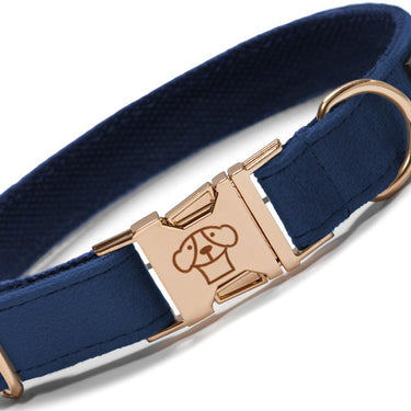 Collar Classic Blue - Tymon suricate brand