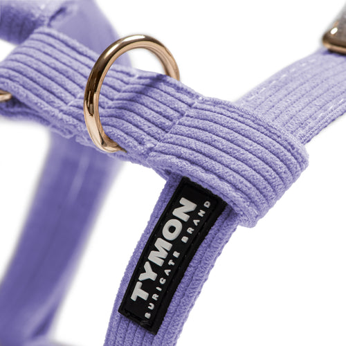 Arnés Classic Purple - Tymon suricate brand