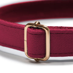 Collar Classic Red - Tymon suricate brand