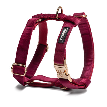 Arnés Classic Red - Tymon suricate brand