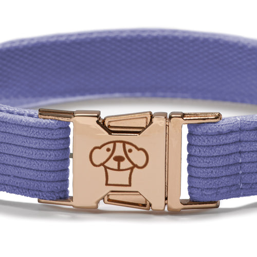 Collar Classic Purple - Tymon suricate brand
