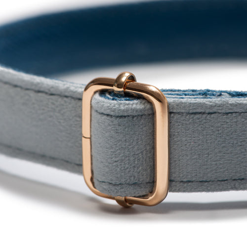 Collar Classic Blue Dark