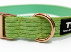 Collar Classic Lima Clear