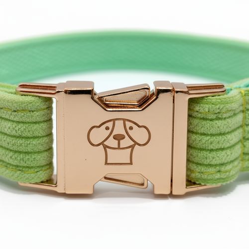 Collar Classic Lima Clear