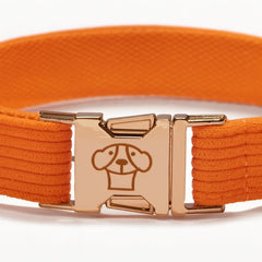 collar classic Naranja