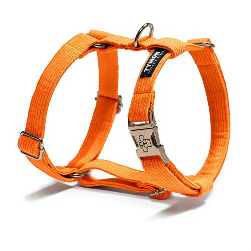 Arnés Classic Orange