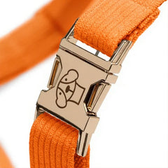 Arnés Classic Orange