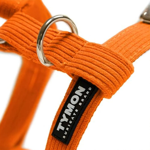 Arnés Classic Orange