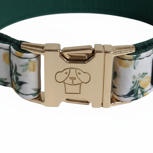 Collar Capri Lemon