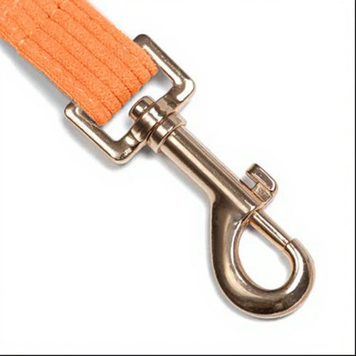 Correa Classic Orange