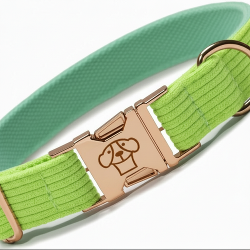 Collar Classic Lima Clear