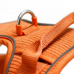 Arnés Resistence Orange