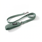 Correa Resistence Green